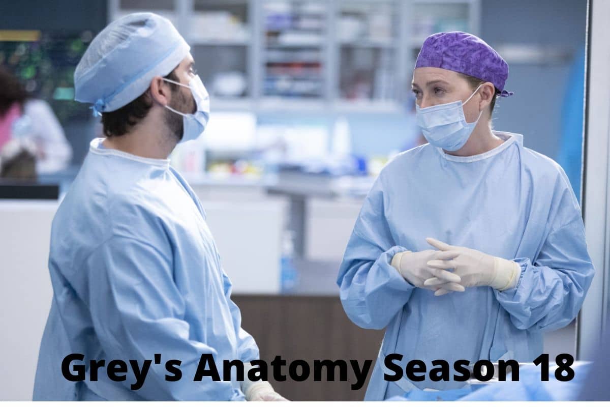Grey's Anatomy Season 18 (1)