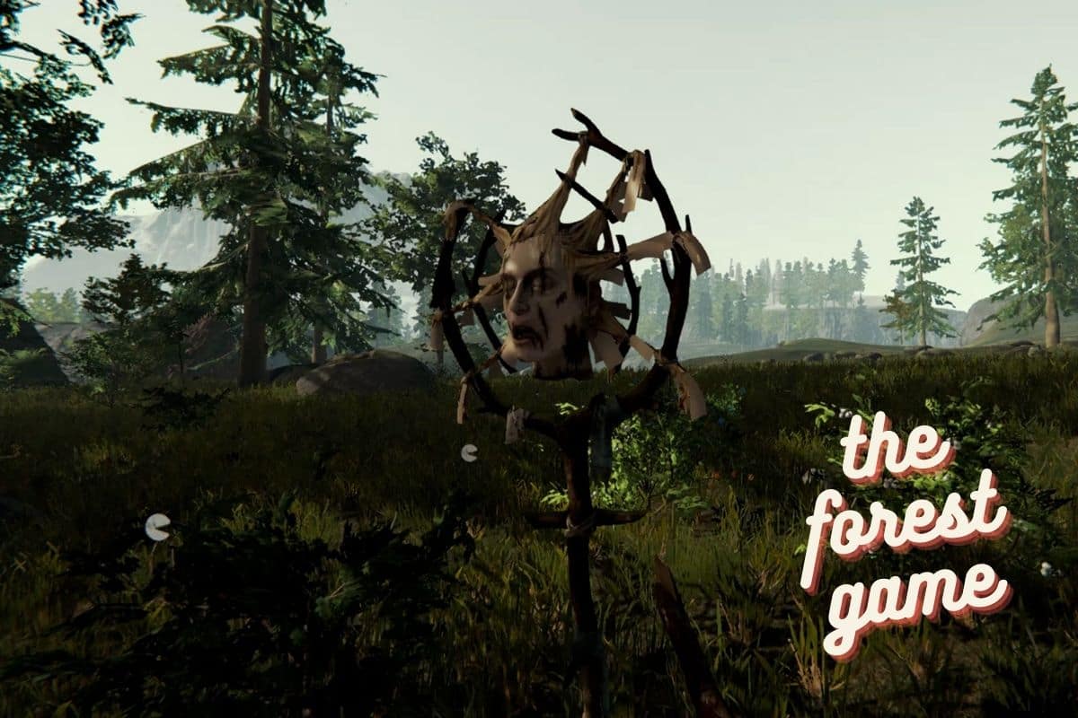 the forest game